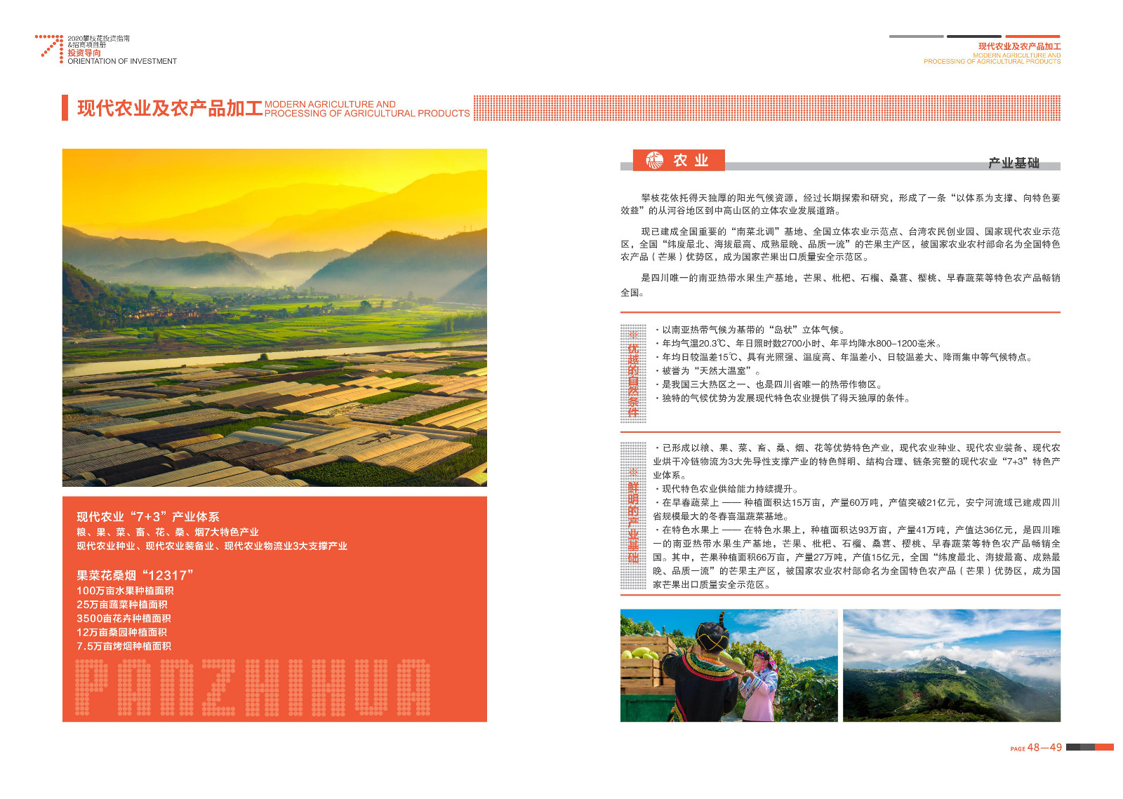 2020-2021攀枝花投资指南%26ampjpgBampjpgB招商项目册（5.28改定）_25.jpg